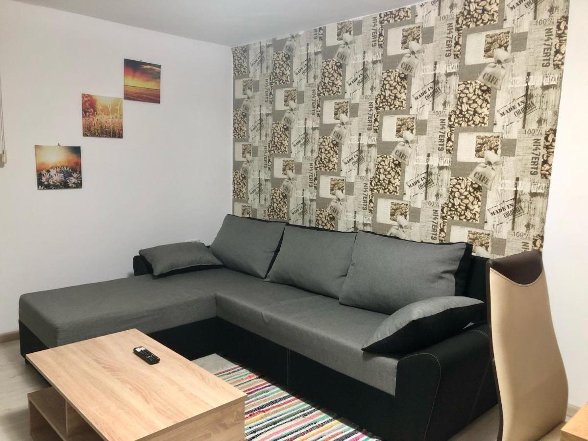 Central Park - Big Apartment - 3 Rooms - Free Parking T5 Timisoara Exterior photo