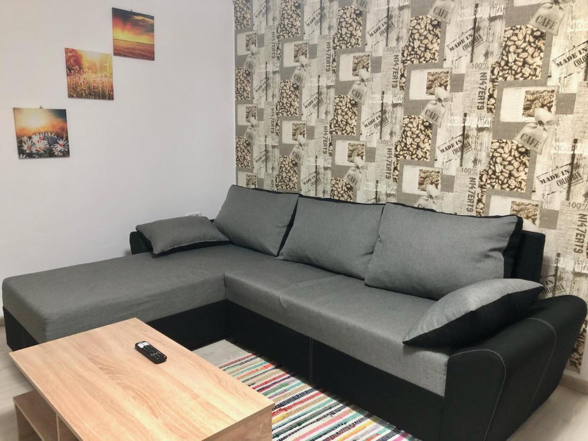 Central Park - Big Apartment - 3 Rooms - Free Parking T5 Timisoara Exterior photo