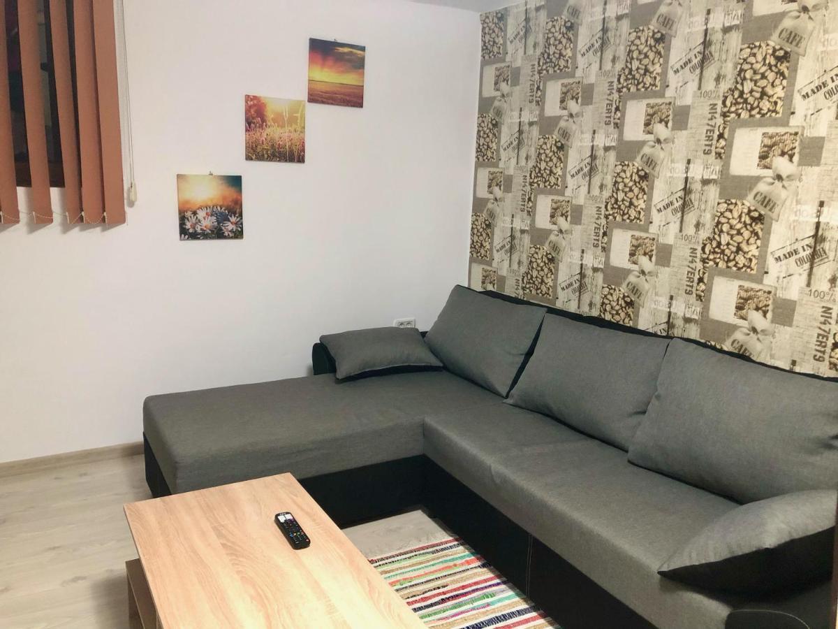 Central Park - Big Apartment - 3 Rooms - Free Parking T5 Timisoara Exterior photo
